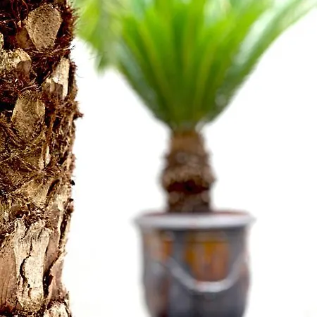 Szálloda La Nova 4*